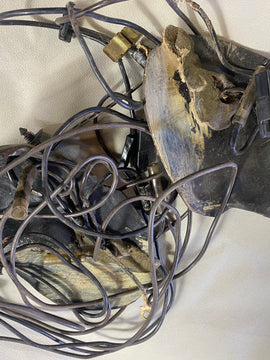 WB statesman interior light harness