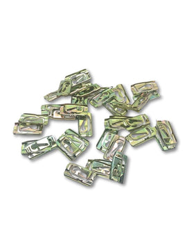 WINDSCREEN MOULDING CLIPS (NOS33)